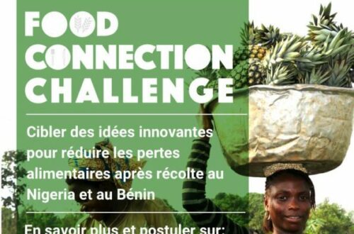 Article : Appel à Candidatures : Food Connection Challenge 2018 au Bénin et au Nigéria